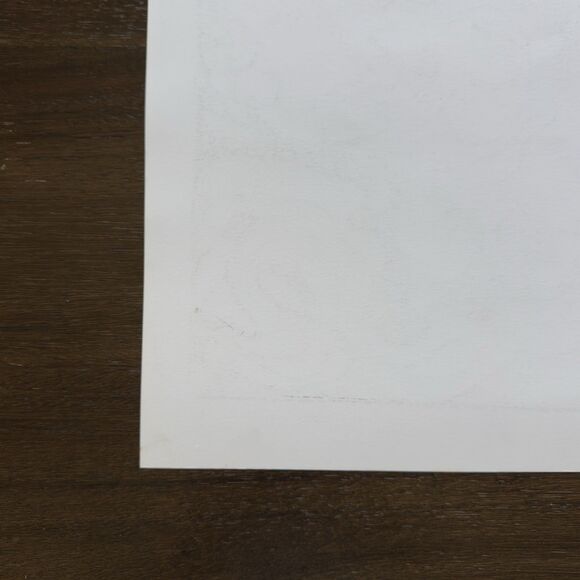 Phish Poster MSG Dec 4th 2009 Marq Spusta Signed #42/90 RARE Artist Proof LE - Picture 10 of 11